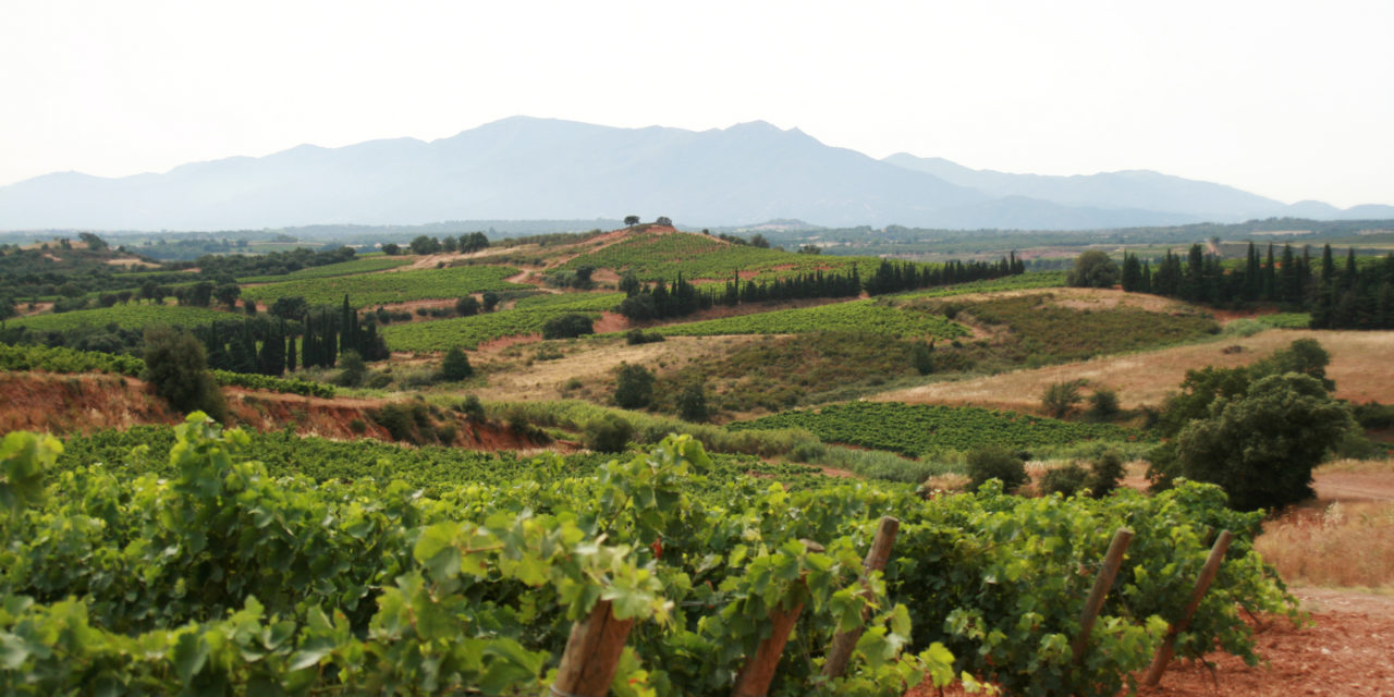 Les vins du Roussillon