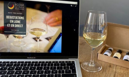 l’Ecole des vins de Bourgogne propose des cours en ligne et en direct !
