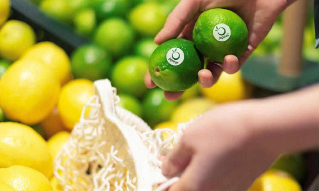 Des citrons verts à durée de vie plus longue sur les marchés européens…