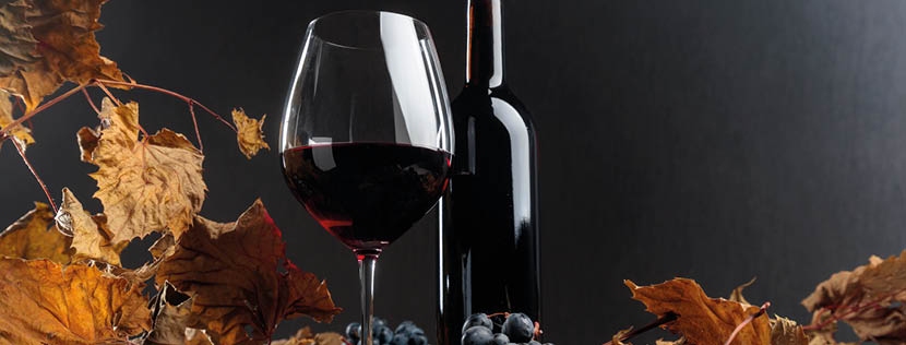 Klassiekers en alternatieven: welke wijnen passen bij wild?