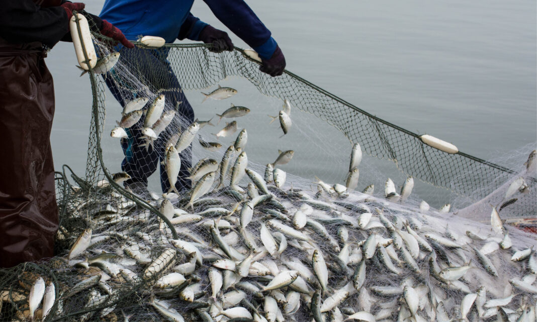 Veranderende eetgewoonten, groeiende zorg om de oceanen